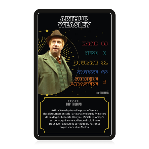 TOP TRUMPS HARRY POTTER ET LES HÉROS DE POUDLARD – Image 10