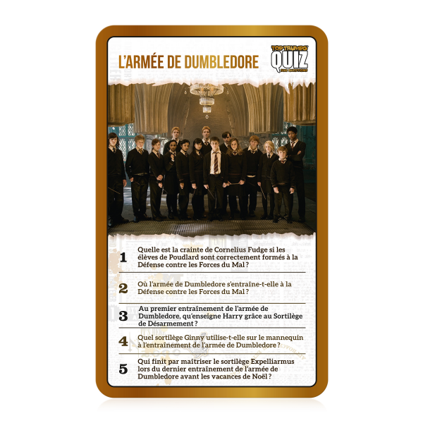 QUIZ HARRY POTTER – Image 13