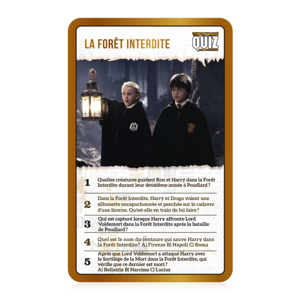 QUIZ HARRY POTTER – Image 6